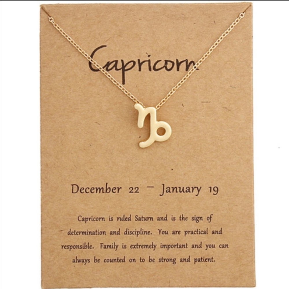 Capricorn Dainty Zodiac Star Sign Necklace ♑️